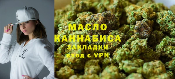 индика Армянск