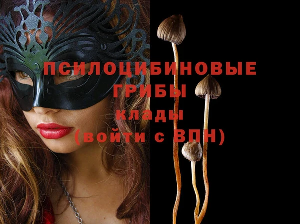 индика Армянск