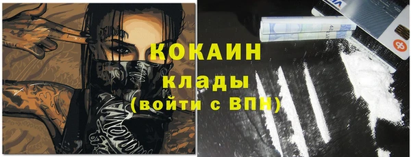 индика Армянск