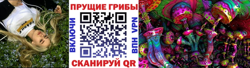 гидра сайт  купить наркотики цена  Можга  Галлюциногенные грибы Magic Shrooms 